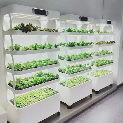 Greenhouse Mini Indoor - Sistem Hidroponik Mini untuk Menanam Sayuran