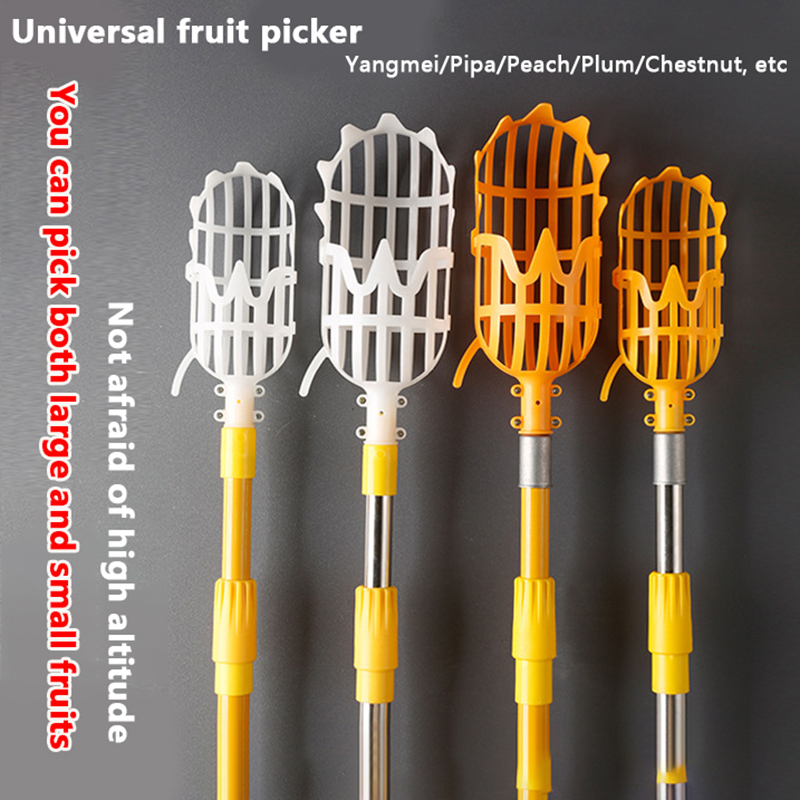 Gardening Tools Basket - Memilih Loquat memilih alat Bayberry keranjang