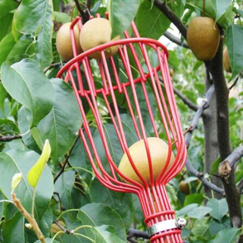 Gardening Tools Basket - Alat Pemetik Buah Portabel Deep Basket