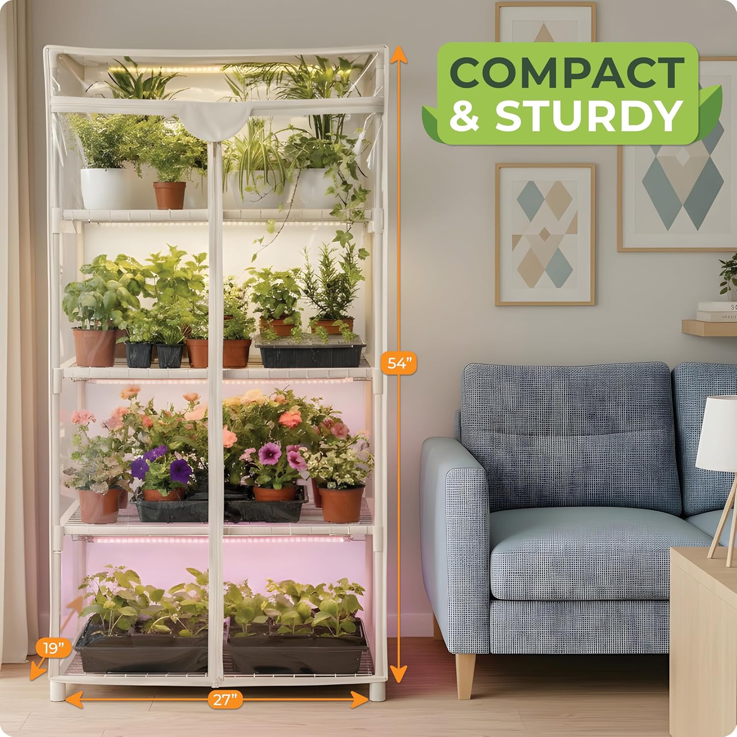 Rumah Kaca Mini untuk Menanam  - Greenhouse Mini Indoor ulasan dan harga