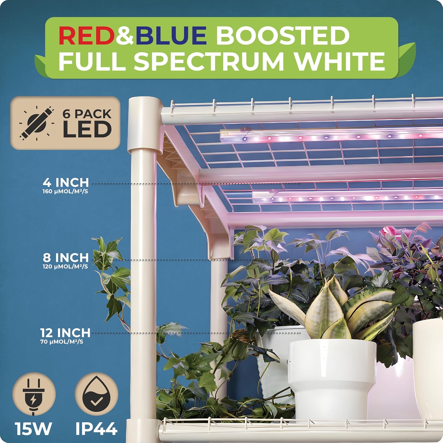 Rumah Kaca Mini untuk Menanam  - Greenhouse Mini Indoor ulasan dan harga