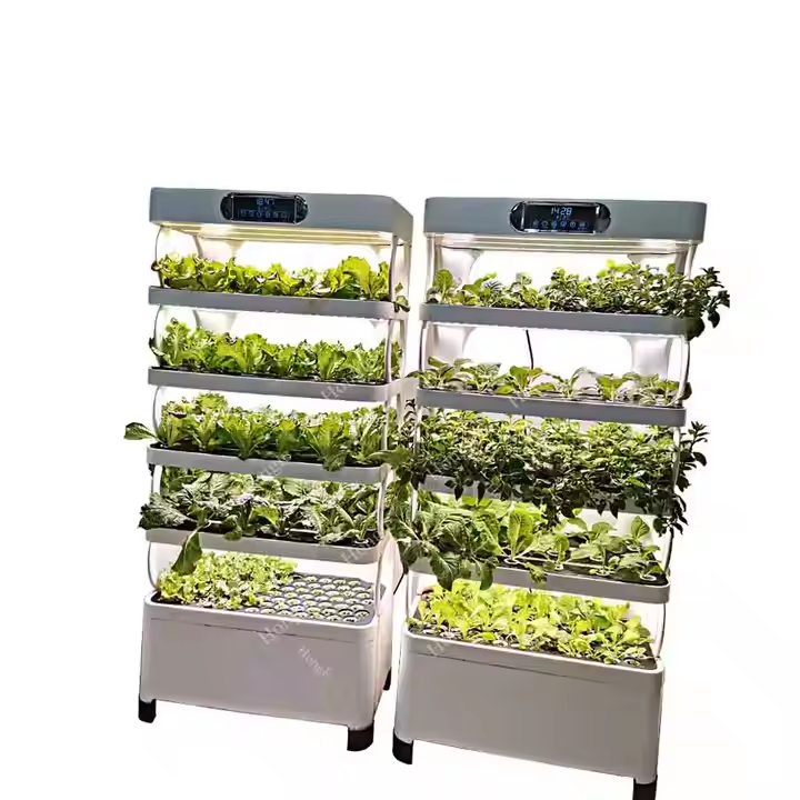 Sistem Hidroponik Mini untuk M - Greenhouse Mini Indoor ulasan dan harga