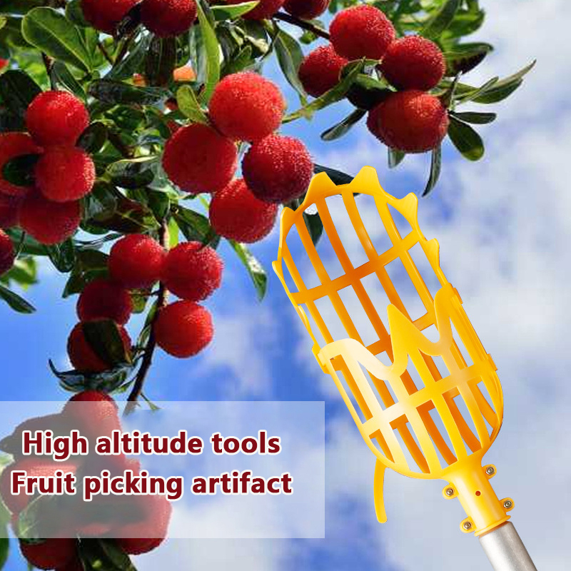 Memilih Loquat memilih alat Ba - Gardening Tools Basket ulasan dan harga