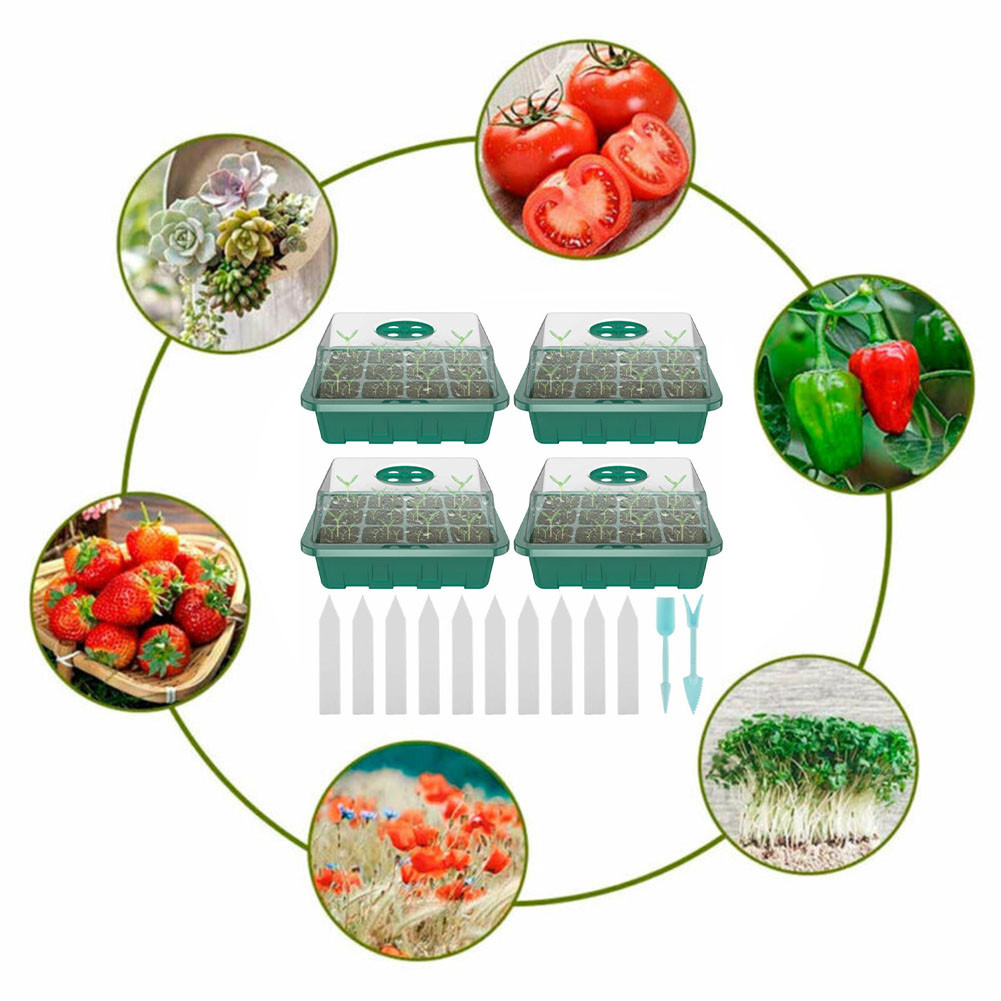 4 buah rumah kaca Mini 12 komp - Greenhouse Mini Indoor ulasan dan harga