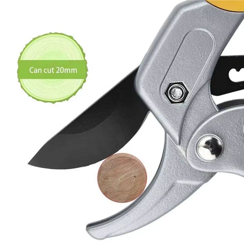 EE1 untuk Gunting Pemangkas Ra - Pruning Shears ulasan dan harga