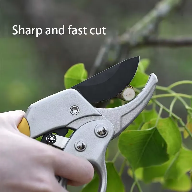 EE1 untuk Gunting Pemangkas Ra - Pruning Shears ulasan dan harga