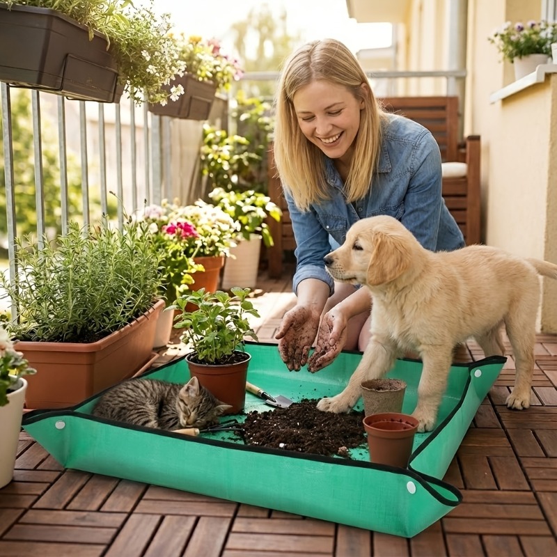 Alas Kebun Rumah Tangga, Peral - Gardening Tools Basket ulasan dan harga