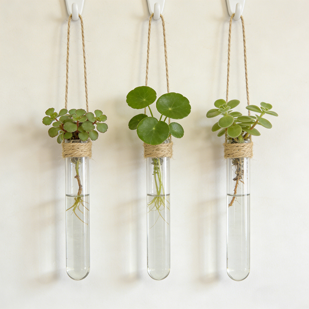 Vas Bunga Hidroponik Vas Tabun - Hanging Planter Basket ulasan dan harga