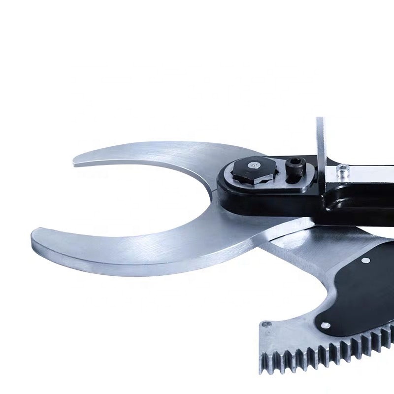 Alat Pertanian Bambu Desain Ba - Pruning Shears ulasan dan harga