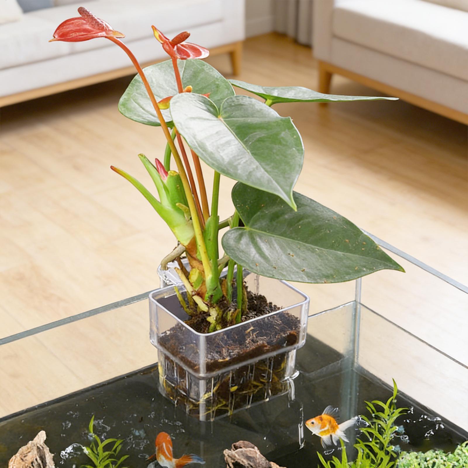 Keranjang Tanaman Akuarium Tra - Hanging Planter Basket ulasan dan harga