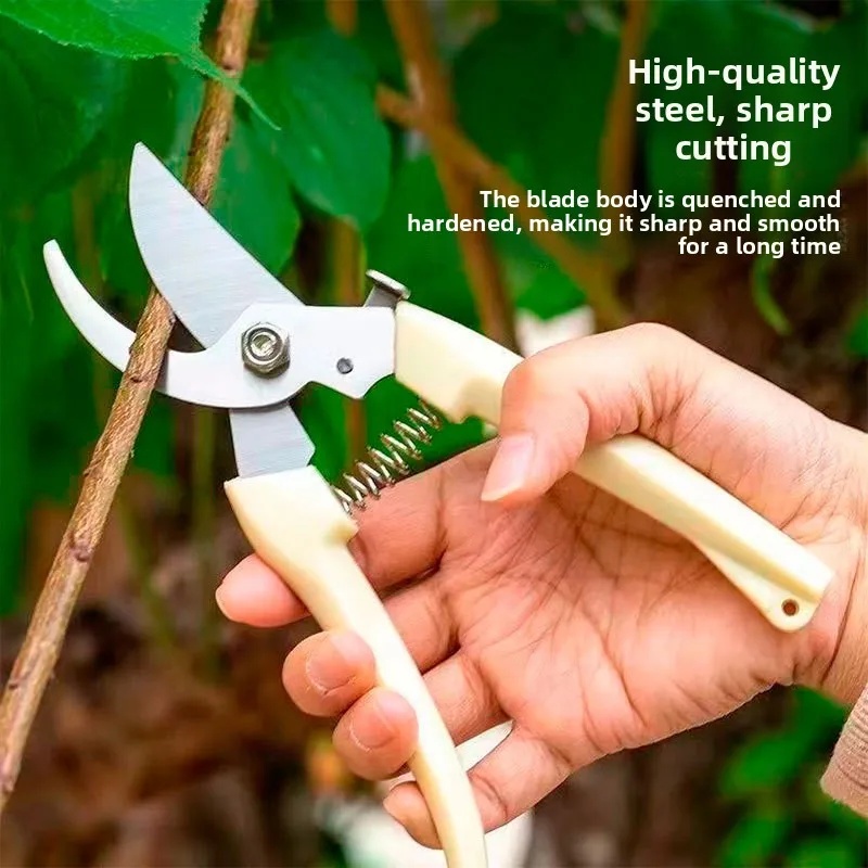 Gunting Pemangkas Taman Hemat  - Pruning Shears ulasan dan harga