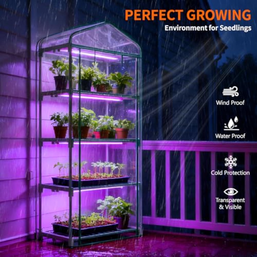 Rumah Kaca Dalam Ruangan denga - Greenhouse Mini Indoor ulasan dan harga