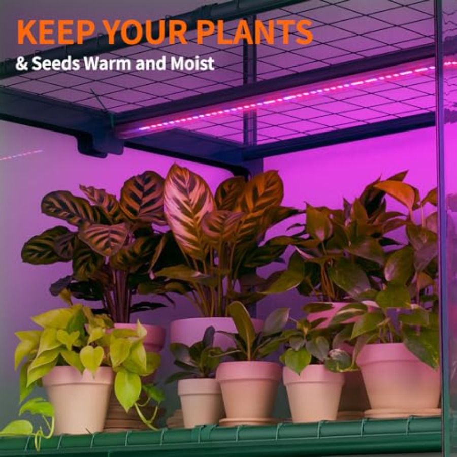 Rumah Kaca Dalam Ruangan denga - Greenhouse Mini Indoor ulasan dan harga