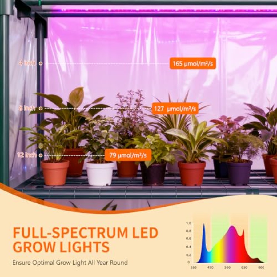 Rumah Kaca Dalam Ruangan denga - Greenhouse Mini Indoor ulasan dan harga