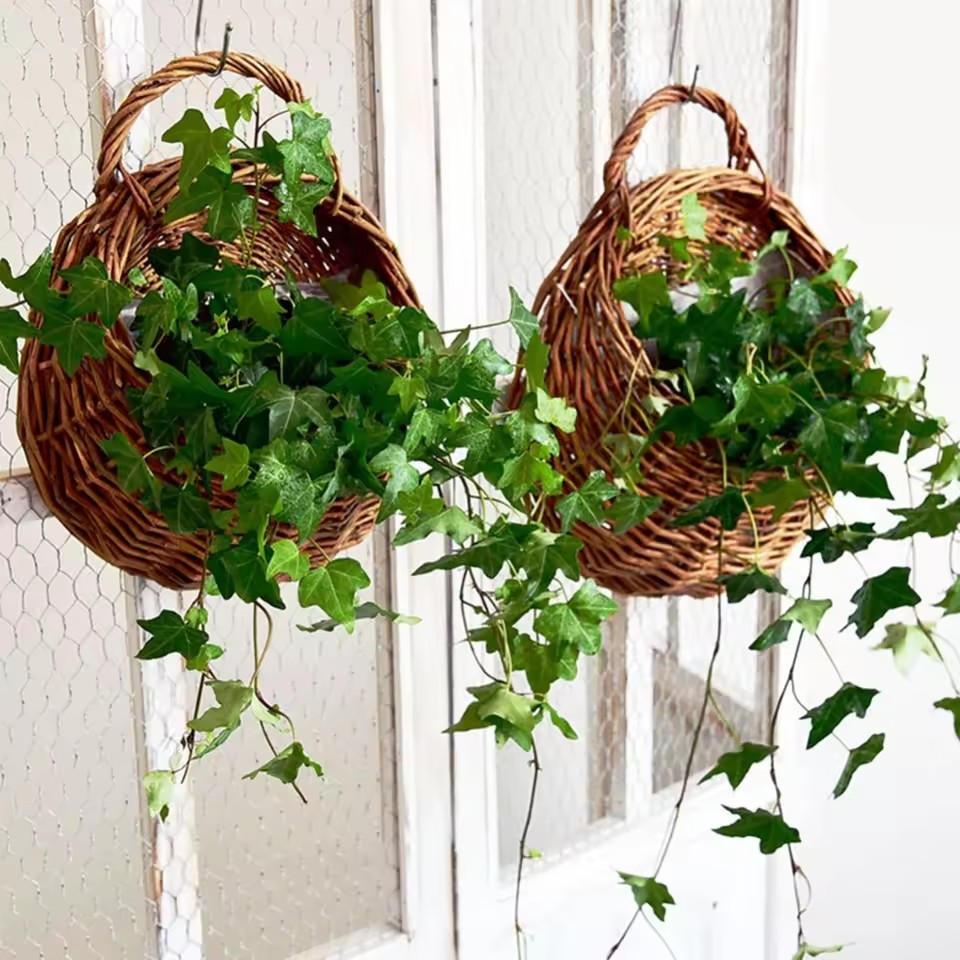 Penanam Bunga Rotan Anyaman Bu - Hanging Planter Basket ulasan dan harga