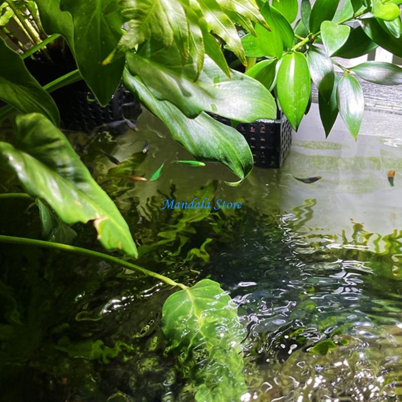 U2JC Penanam Dinding Hemat Rua - Hanging Planter Basket ulasan dan harga