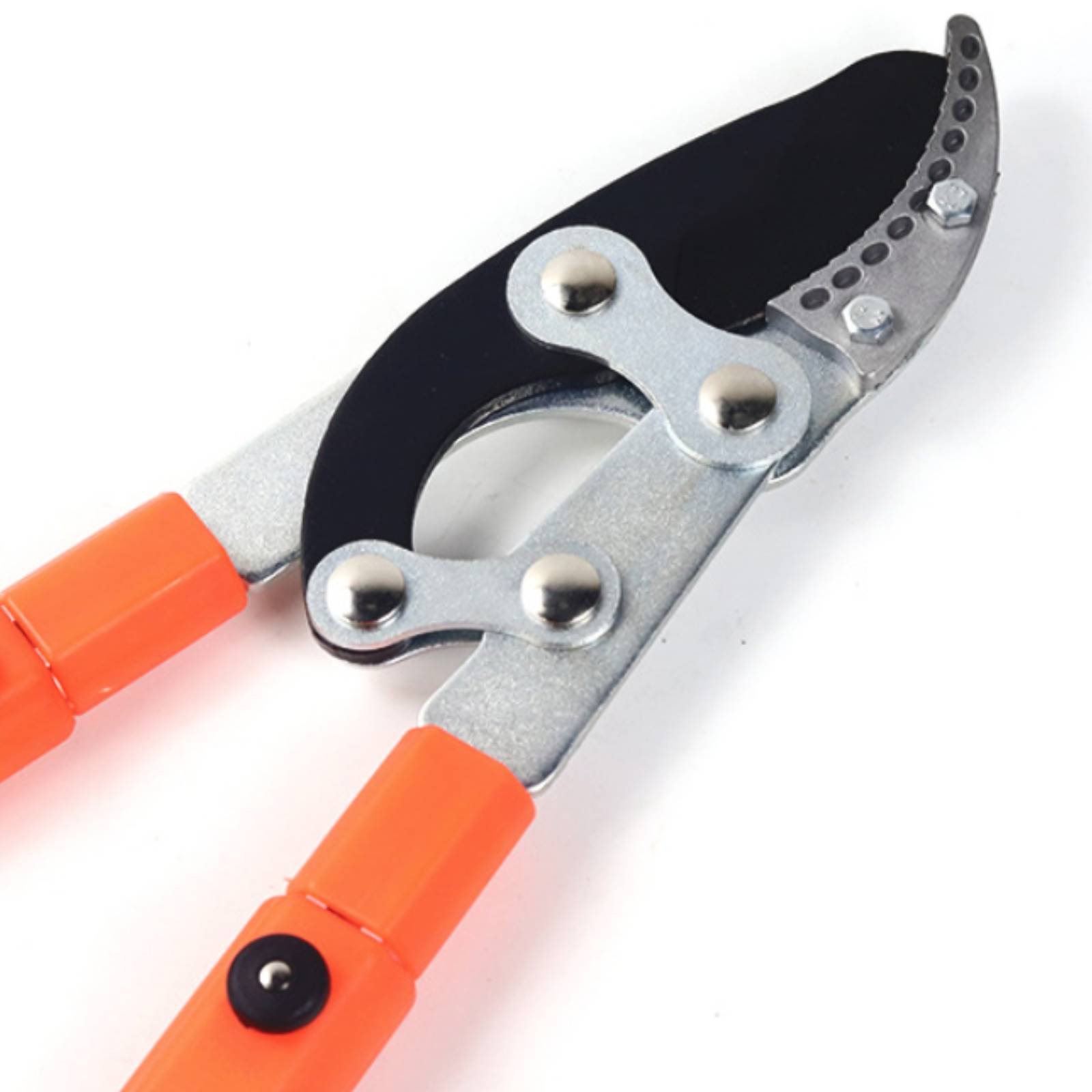 Pemangkas Cabang Teleskopik Pi - Pruning Shears ulasan dan harga