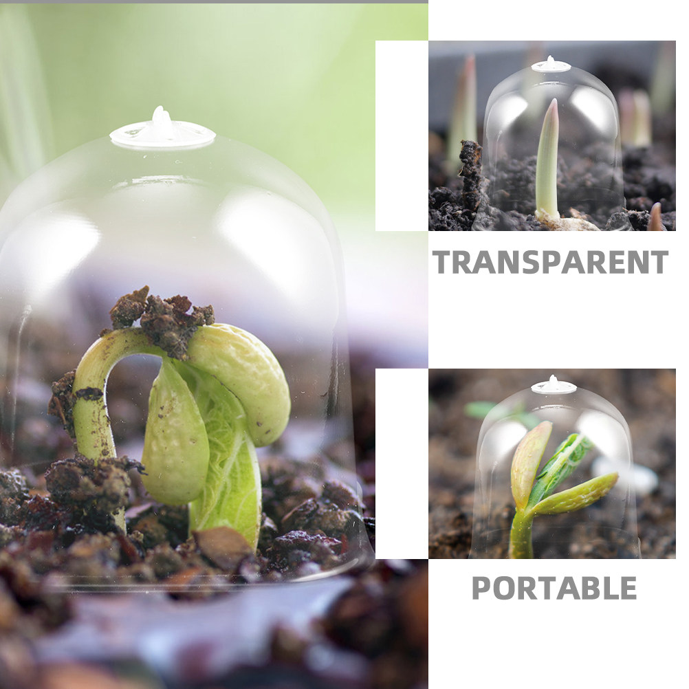 6 Buah Pot Tanaman Persegi unt - Greenhouse Mini Indoor ulasan dan harga
