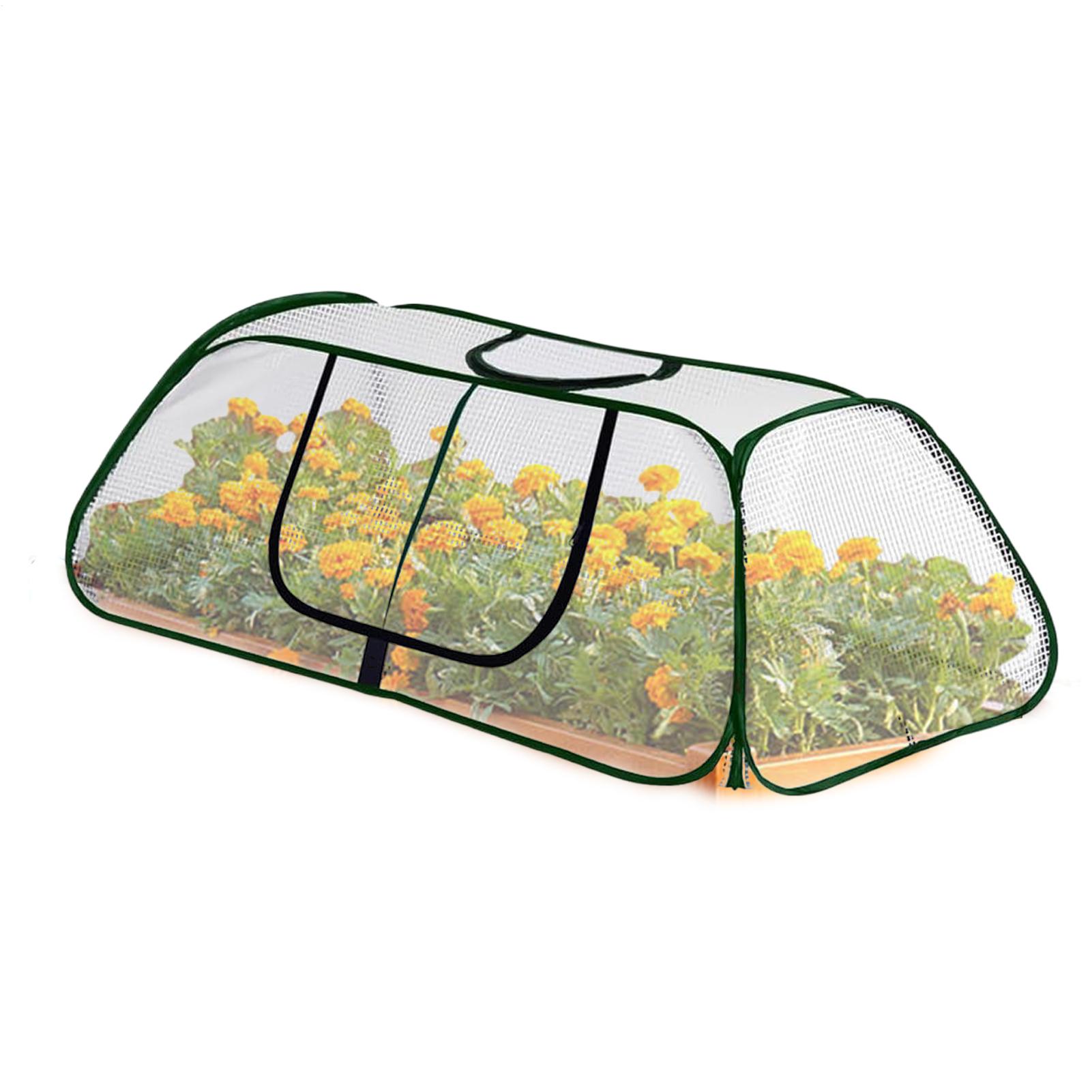 Rumah Kaca Mini Portabel Pelin - Greenhouse Mini Indoor ulasan dan harga