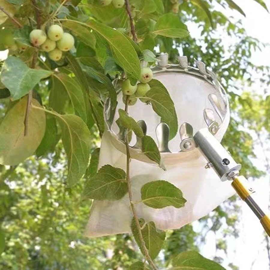 Alat Pemetik Buah Profesional, - Gardening Tools Basket ulasan dan harga