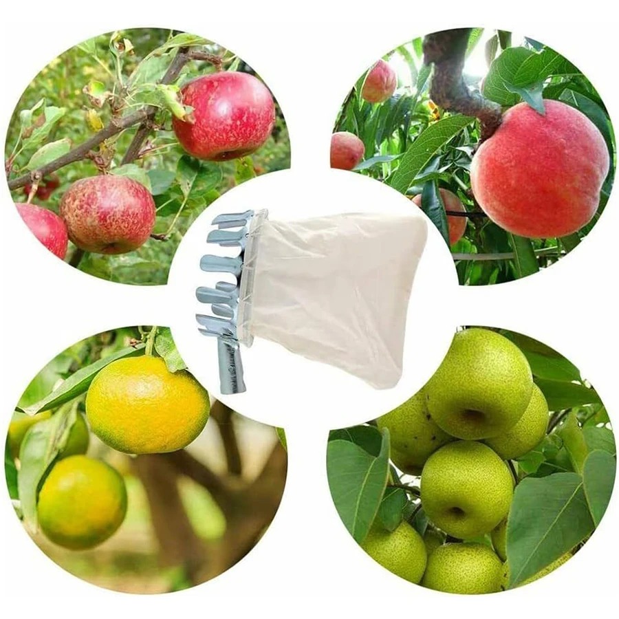Alat Pemetik Buah Profesional, - Gardening Tools Basket ulasan dan harga