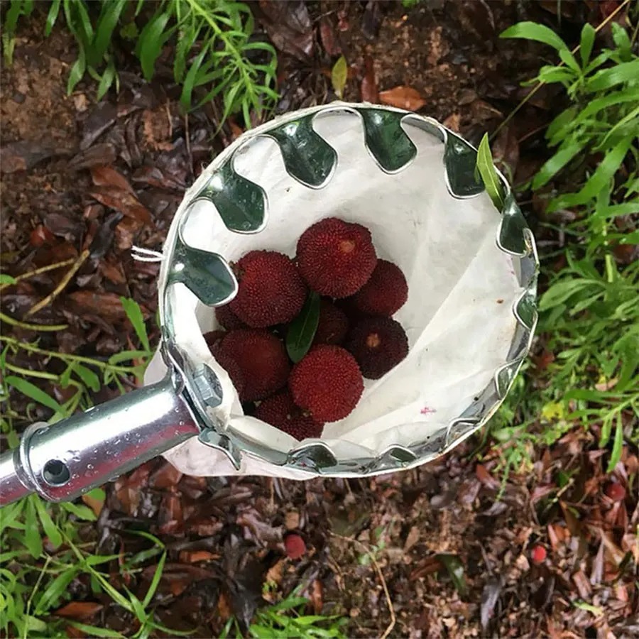 Alat Pemetik Buah Profesional, - Gardening Tools Basket ulasan dan harga